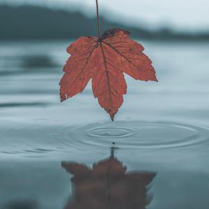 性猛交ⅩXXX乱大交大片
